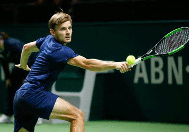 Goffin y Dimitrov debutan en grande en Rotterdam