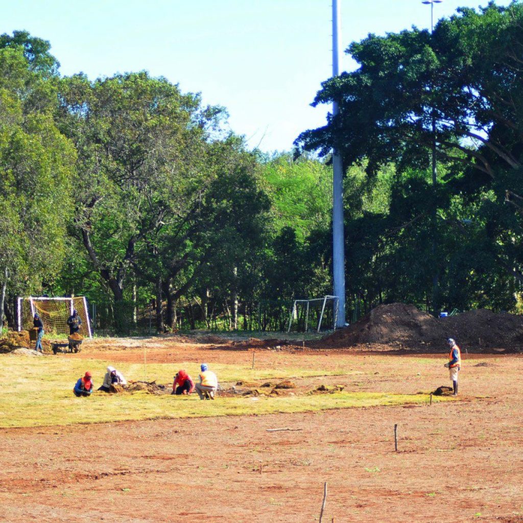 Trabajan el terreno del estadio de fútbol en Parque del Este; Plantan grama