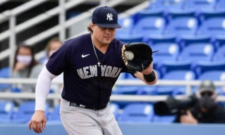 Afiliados del equipo piden a gritos que se utilice con frecuencia a Luke durante los juegos de la MLB